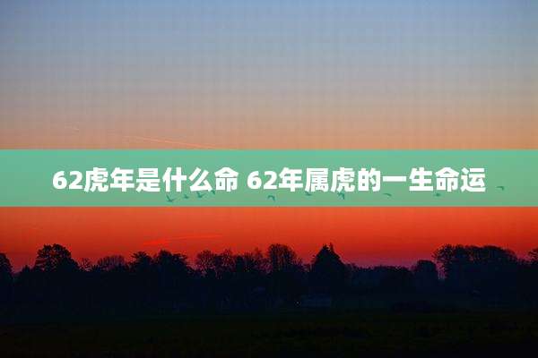 62虎年是什么命 62年属虎的一生命运