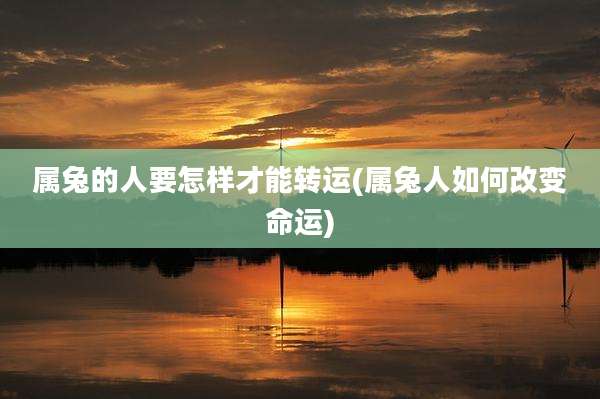 属兔的人要怎样才能转运(属兔人如何改变命运)