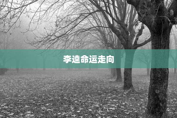 李逵命运走向