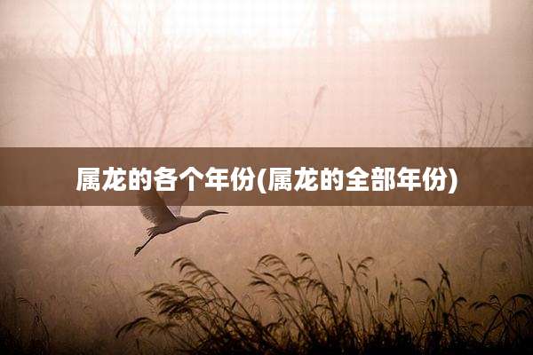 属龙的各个年份(属龙的全部年份)