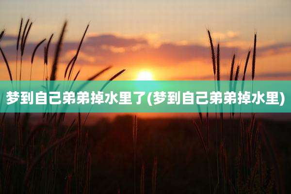 梦到自己弟弟掉水里了(梦到自己弟弟掉水里)