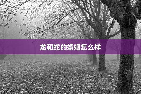 龙和蛇的婚姻怎么样