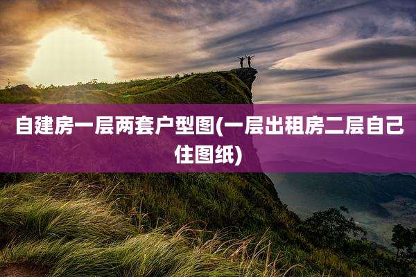 自建房一层两套户型图(一层出租房二层自己住图纸)