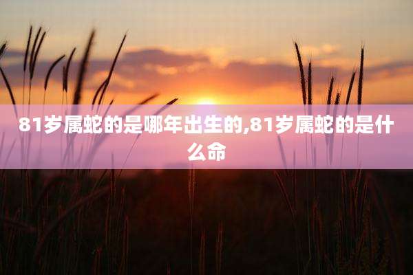81岁属蛇的是哪年出生的,81岁属蛇的是什么命