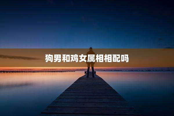 狗男和鸡女属相相配吗