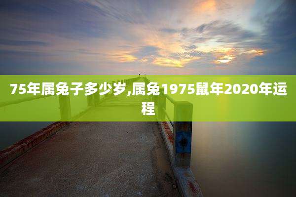 75年属兔子多少岁,属兔1975鼠年2020年运程