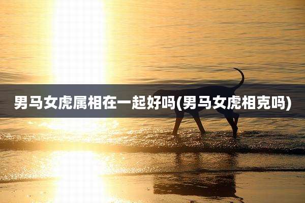 男马女虎属相在一起好吗(男马女虎相克吗)