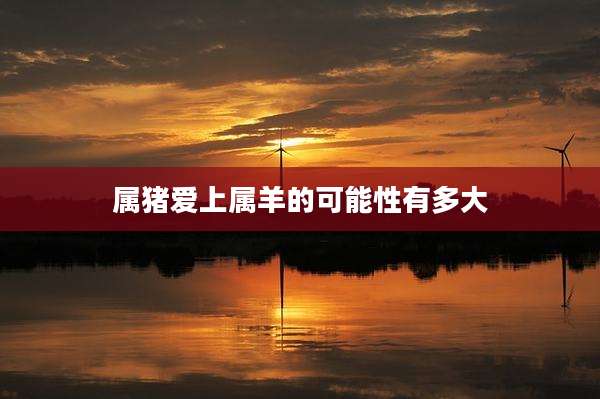 属猪爱上属羊的可能性有多大