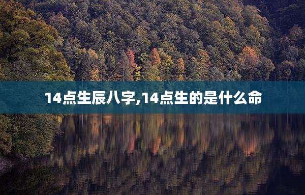 14点生辰八字,14点生的是什么命