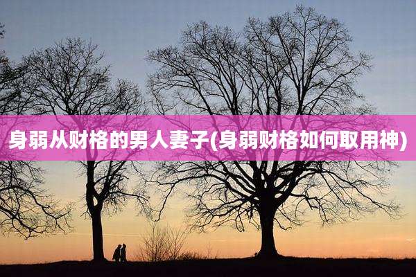 身弱从财格的男人妻子(身弱财格如何取用神)