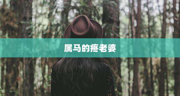 属马的疼老婆