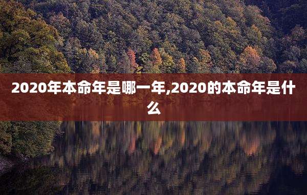 2020年本命年是哪一年,2020的本命年是什么