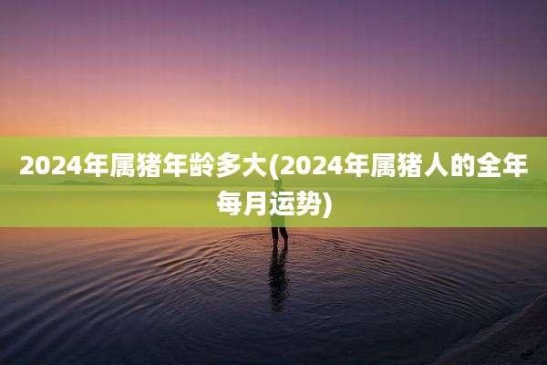 2024年属猪年龄多大(2024年属猪人的全年每月运势)