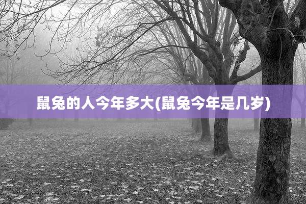 鼠兔的人今年多大(鼠兔今年是几岁)