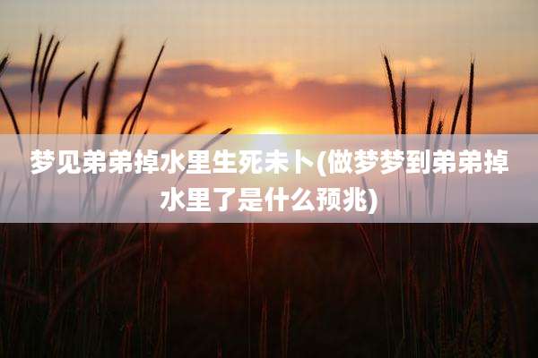 梦见弟弟掉水里生死未卜(做梦梦到弟弟掉水里了是什么预兆)