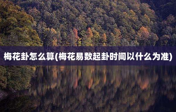 梅花卦怎么算(梅花易数起卦时间以什么为准)
