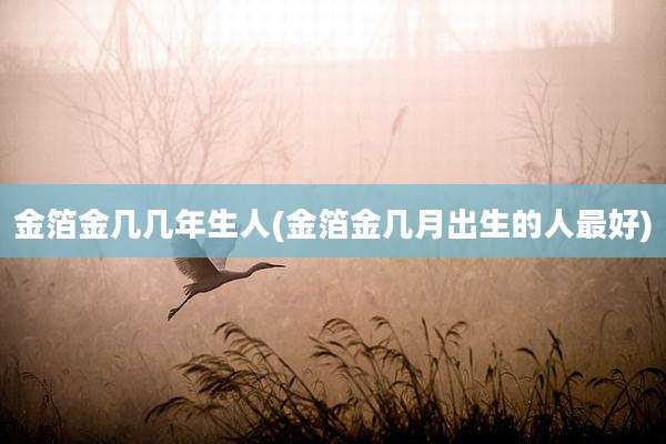 金箔金几几年生人(金箔金几月出生的人最好)