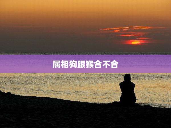 属相狗跟猴合不合