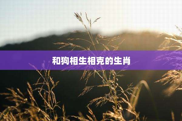 和狗相生相克的生肖