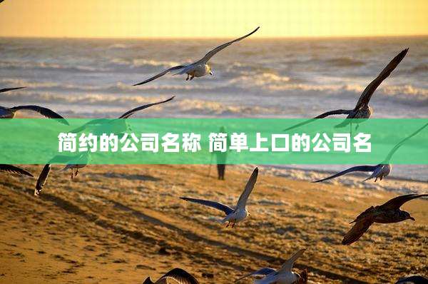 简约的公司名称 简单上口的公司名