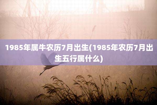 1985年属牛农历7月出生(1985年农历7月出生五行属什么)