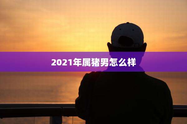 2021年属猪男怎么样