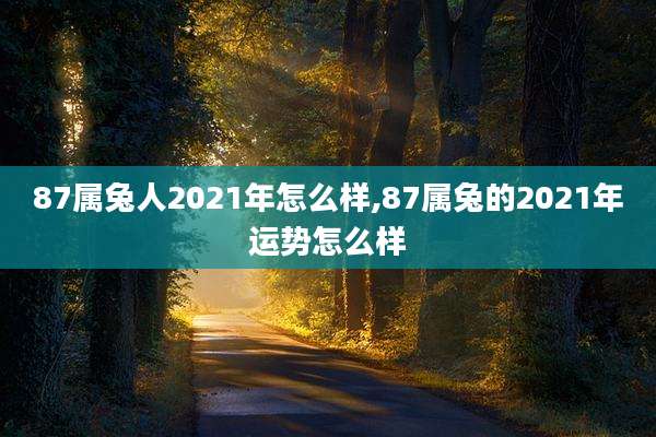 87属兔人2021年怎么样,87属兔的2021年运势怎么样