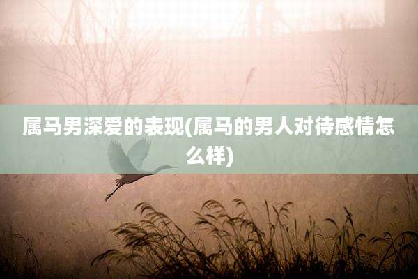 属马男深爱的表现(属马的男人对待感情怎么样)