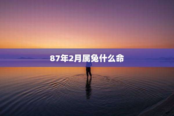 87年2月属兔什么命