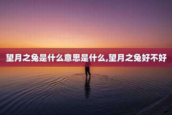 望月之兔是什么意思是什么,望月之兔好不好