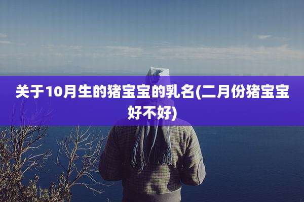 关于10月生的猪宝宝的乳名(二月份猪宝宝好不好)