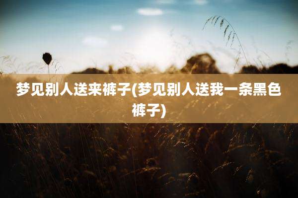 梦见别人送来裤子(梦见别人送我一条黑色裤子)