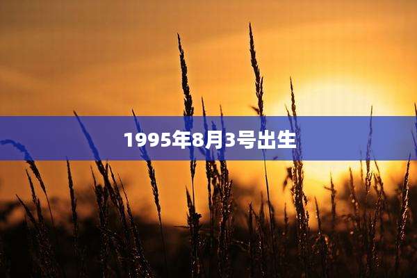 1995年8月3号出生