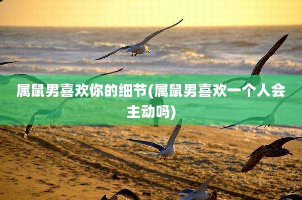 属鼠男喜欢你的细节(属鼠男喜欢一个人会主动吗)