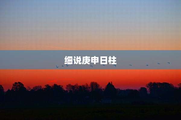 细说庚申日柱