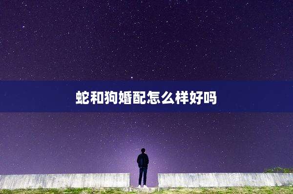 蛇和狗婚配怎么样好吗