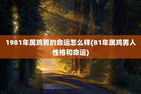 1981年属鸡男的命运怎么样(81年属鸡男人性格和命运)