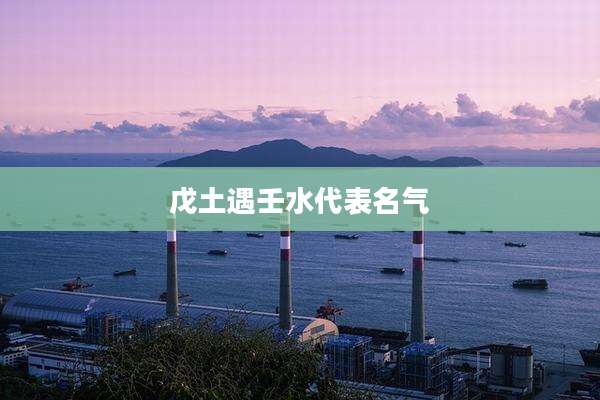 戊土遇壬水代表名气