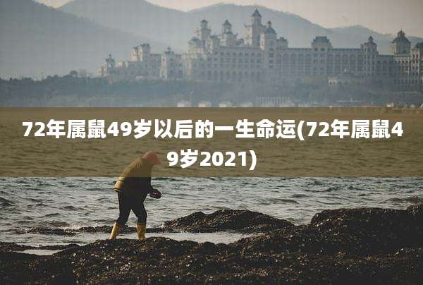 72年属鼠49岁以后的一生命运(72年属鼠49岁2021)