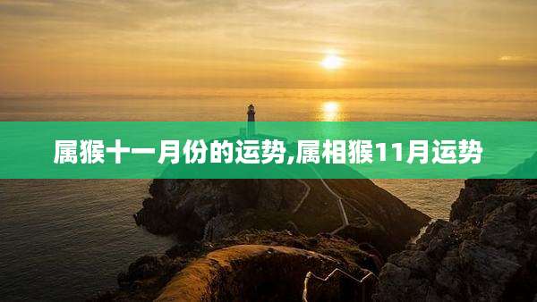 属猴十一月份的运势,属相猴11月运势