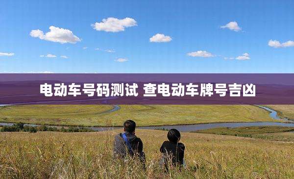 电动车号码测试 查电动车牌号吉凶