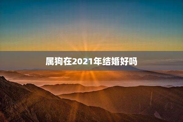 属狗在2021年结婚好吗