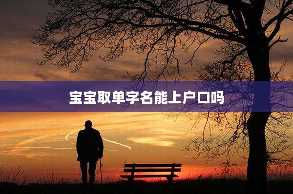 宝宝取单字名能上户口吗