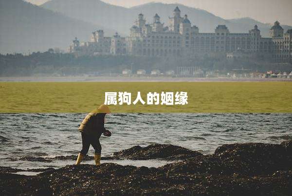 属狗人的姻缘