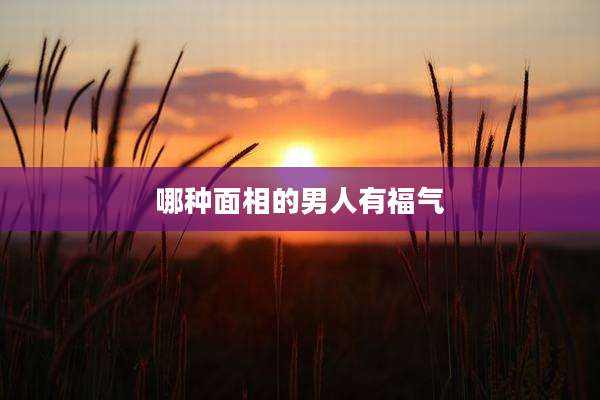 哪种面相的男人有福气