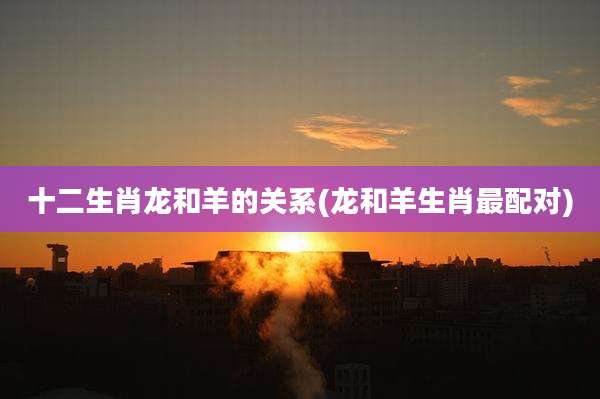 十二生肖龙和羊的关系(龙和羊生肖最配对)