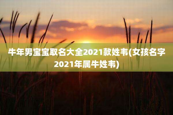 牛年男宝宝取名大全2021款姓韦(女孩名字2021年属牛姓韦)