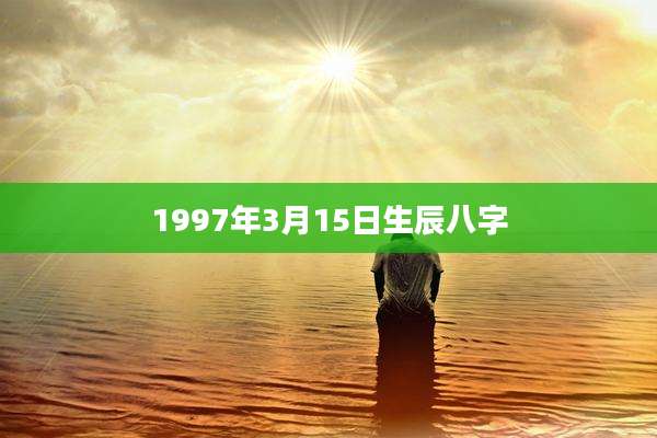 1997年3月15日生辰八字
