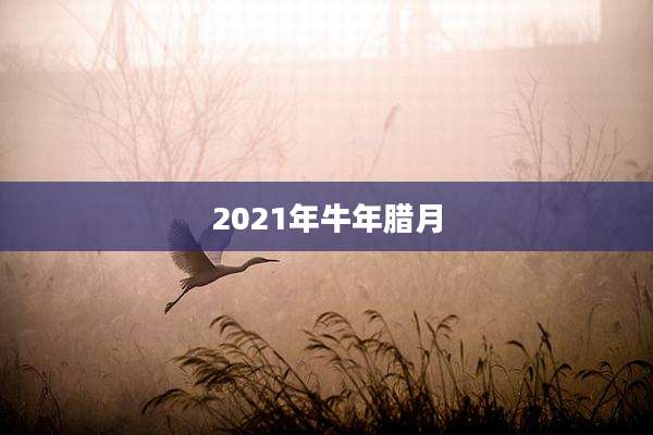 2021年牛年腊月