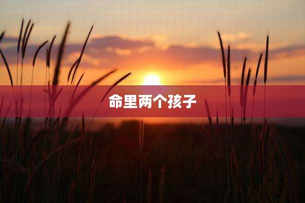 命里两个孩子